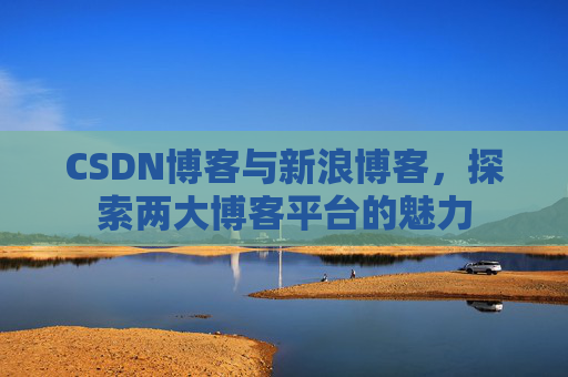 CSDN博客与新浪博客，探索两大博客平台的魅力